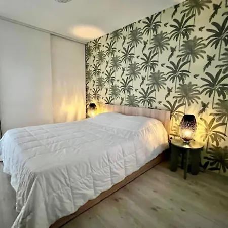 Bright Of 46 M2 Located In Apartment